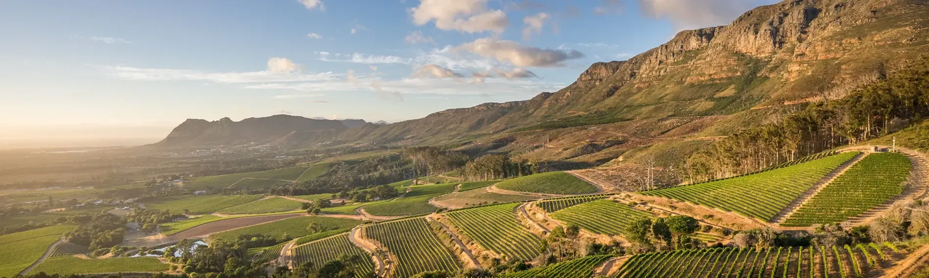 Constantia, Cape Town