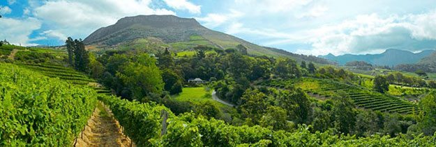 Constantia